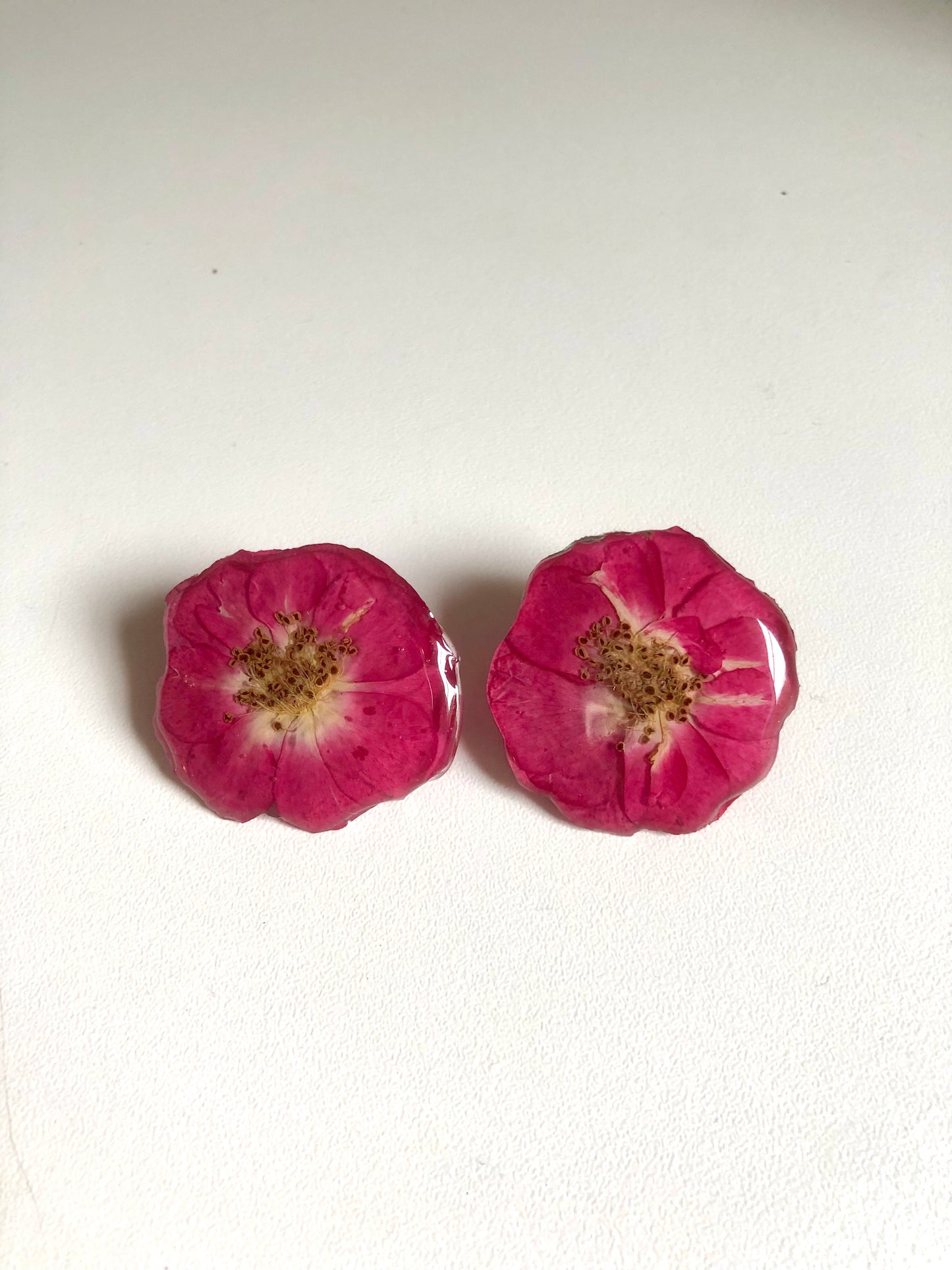 Real rose stud earrings