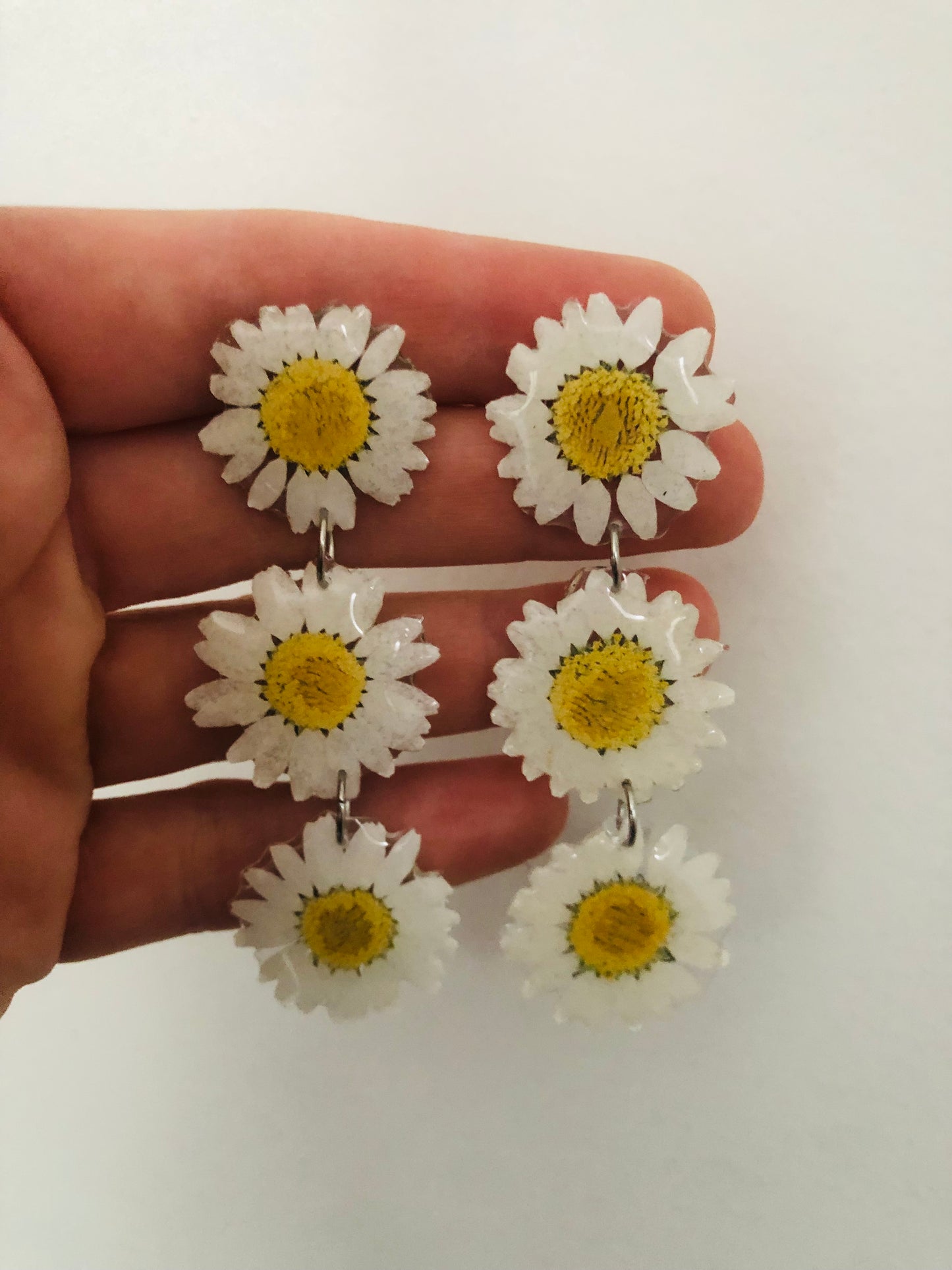 Real daisy earrings