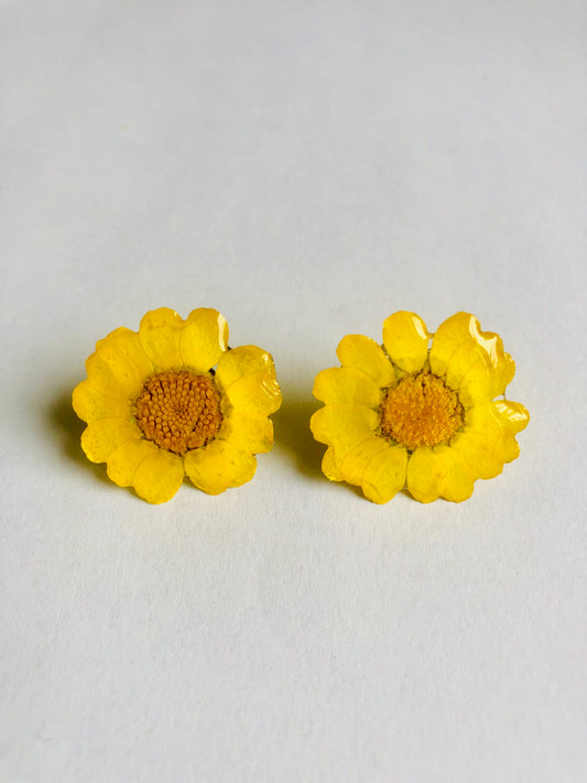 Yellow daisy stud  earrings