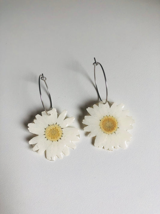 Real daisy earrings