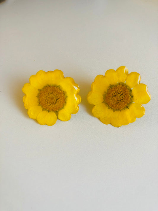 Yellow daisy stud  earrings